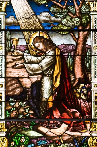 Agony in the Garden O5H5823.jpg